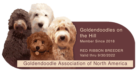 Goldendoodle Association of North America Red Ribbon Breeder Logo